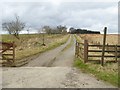 NZ0794 : Driveway to Birkheadsmoor by Oliver Dixon