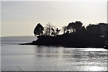 SX9062 : Silhouette of Livermead Head by N Chadwick