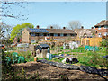 Allotments, Pound Hill, Crawley