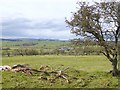 Northumberland landscape