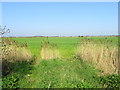 Farmland off Golf Road