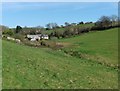 Small valley, east of Tywardreath