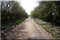 SE3123 : Trough Well Lane towards Wrenthorpe by Ian S