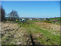 Broad verge alongside Black Moor Road, Oxenhope