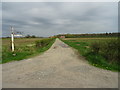 Road to Highall Farm