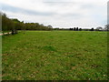 TF2263 : Farmland off Wellsyke Lane by John M