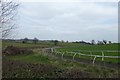 SE6070 : Gallops near Foulrice Farm by DS Pugh