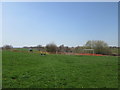 Playground on High Common