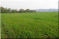 Langford Bridge Farm  pasture