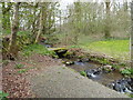 Stream by a Woodland Retreat near Trewellwell