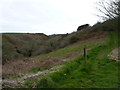 Footpath in Upper Solva Valley