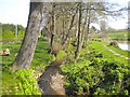 Stream alongside Main Road, Westwood