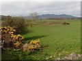 Grazing land west of Aghlisnafin Road