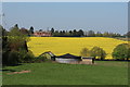 Fields North of Boughton Street