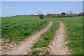 Track in a field near Sherbourne