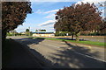 Trees on the Irchester Road