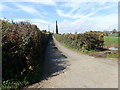 Private farm access road linking Manse Road and Demesne Road