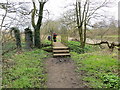 Riverside path and footbridge