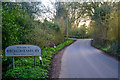 Broadhembury : Country Lane