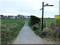 SD3148 : Path to Princes Way by Steve Daniels