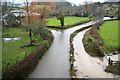 Gatcombe Brook by the road