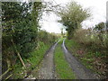 Farm access track in Hyssington, Powys