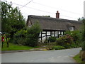 Thatched Cottage at Lyneal