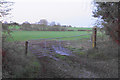 Muddy field  entrance off Hobs Hole Lane