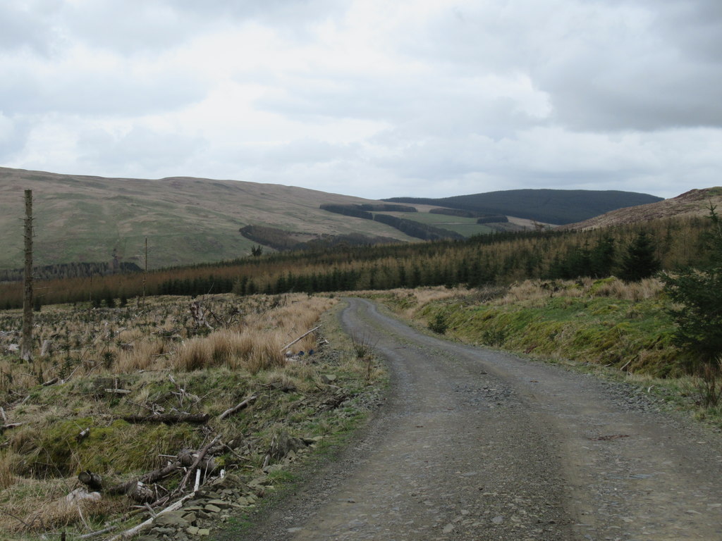 Forestry track on Brunt Hill near... © ian shiell :: Geograph Britain ...