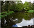 Lake near Old Hall Farm