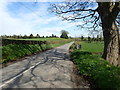 View East along the western end of Manse Road, Seaforde