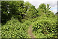 Footpath running north towards Mount Pleasant Road