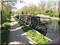 "Tui, New Zealand" narrowboat on Grand Union Canal