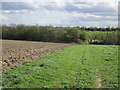 Footpath to Goldthorpe