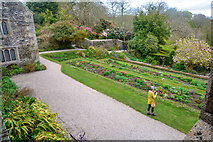 SX4268 : Cornwall : Cotehele House Gardens by Lewis Clarke