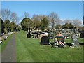 J3173 : Belfast City Cemetery 1) by Mike Faherty
