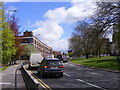 Ring Road Queue