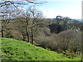 View toward the motte from an adjacent hilltop