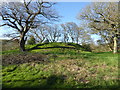 Motte at the castle site at Hyssington