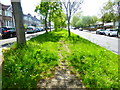 Green footpath at Oldfield Lane