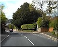 Bus stop for Dawlish in Dawlish Road - A379