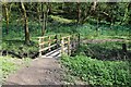 SO8552 : Footbridge crossing Duck Brook by Philip Halling