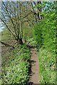 SO8552 : Footpath beside the River Severn by Philip Halling