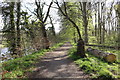 Riverside Path, Ayr