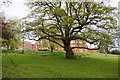 A glimpse of Royal Earlswood Park