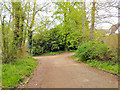 Path junction by Royal Earlswood Park