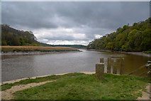 SX4268 : Cornwall : The River Tamar by Lewis Clarke