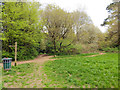 Paths, Redhill Common