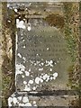 Grave in the old graveyard above Copthill Quarry (4) (detail)