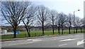 Playing fields at the Sports and Leisure Centre, Downpatrick